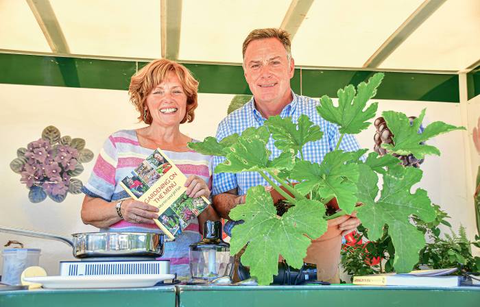 business branding and product