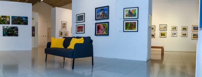 Oldham Gallery and Library