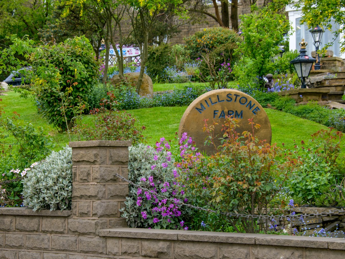 Hartshead Meats: Bearing Witness Behind the Green&nbsp;Gate